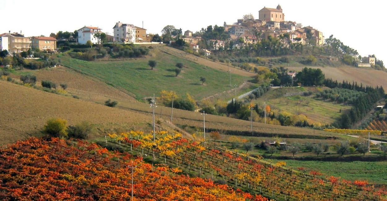 Gli Orti Di San Giacomo Bed & Breakfast Monteprandone Exterior photo